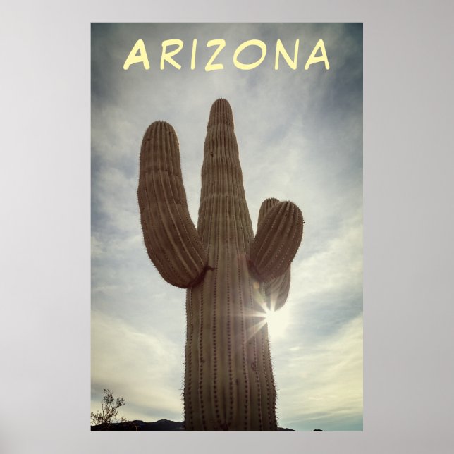 Saguaro  poster (Front)