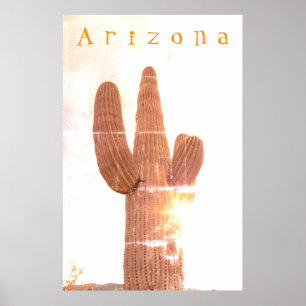 Saguaro Poster