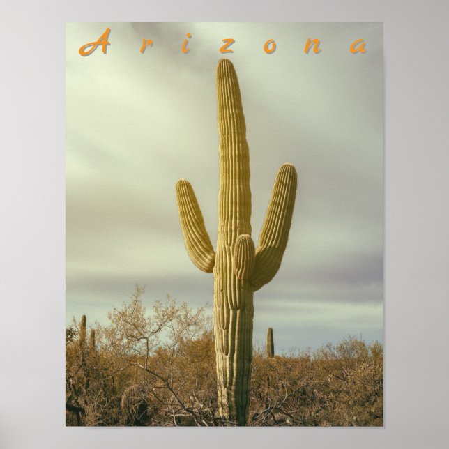 Saguaro Poster (Front)