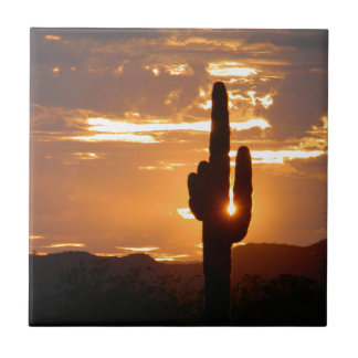 Saguaro Rays Tile