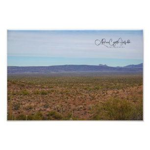 Saguaro Scenic Photo Print