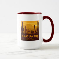 Saguaro Square National Park | Arizona