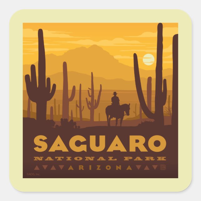 Saguaro Square National Park | Arizona Square Sticker (Front)