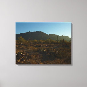 Saguaro Sunrise at Saguaro National Park Canvas Print