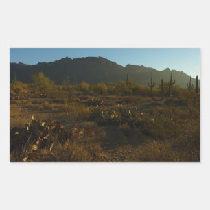 Saguaro Sunrise at Saguaro National Park Sticker