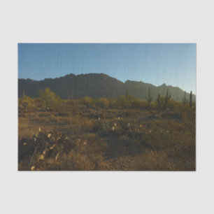 Saguaro Sunrise at Saguaro National Park Tissue Paper