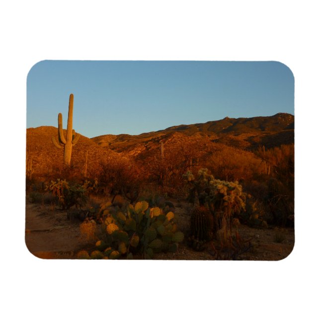 Saguaro Sunset I Arizona Desert Landscape Magnet (Horizontal)