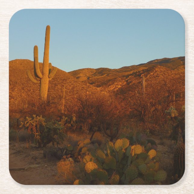 Saguaro Sunset I Arizona Desert Landscape Square Paper Coaster (Front)
