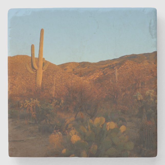 Saguaro Sunset I Arizona Desert Landscape Stone Coaster (Front)