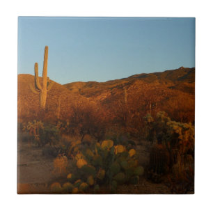 Saguaro Sunset I Arizona Desert Landscape Tile