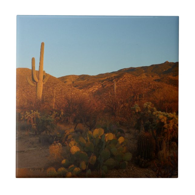 Saguaro Sunset I Arizona Desert Landscape Tile (Front)