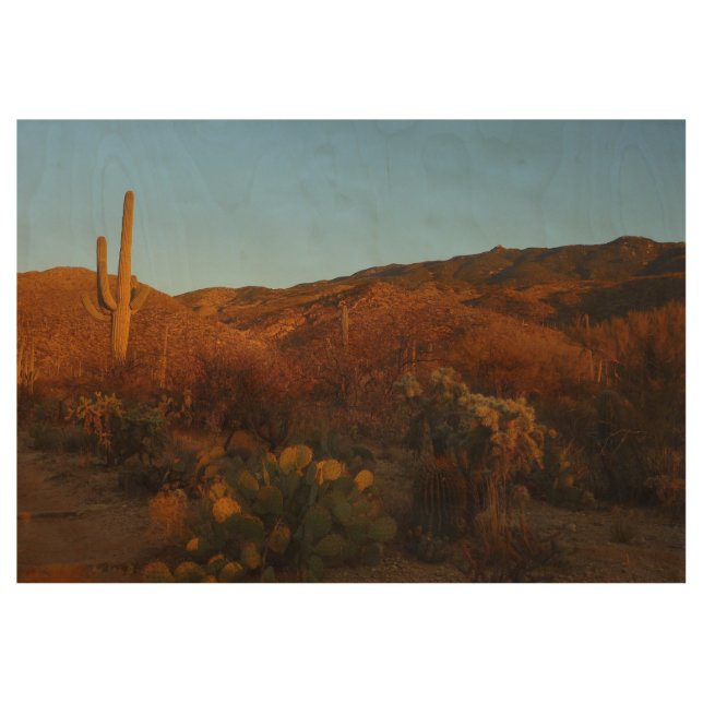 Saguaro Sunset I Arizona Desert Landscape Wood Poster (Front)