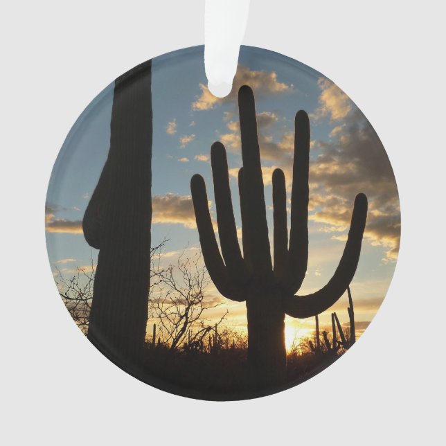 Saguaro Sunset II Arizona (devant)