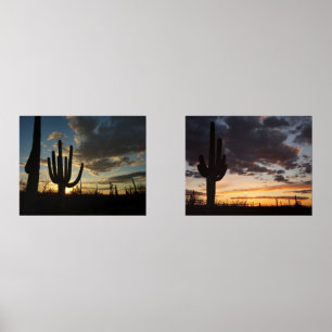 Saguaro Sunset II Arizona