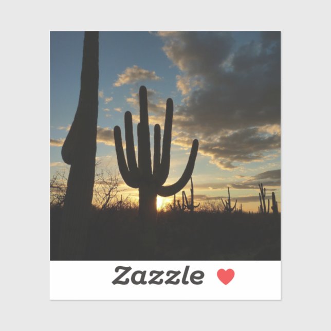 Saguaro Sunset II Arizona Desert Landscape (Sheet)