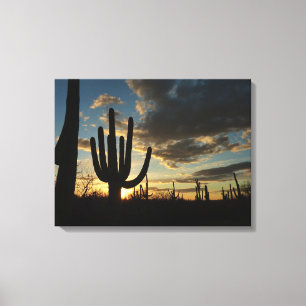 Saguaro Sunset II Arizona Desert Landscape Canvas Print