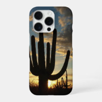 Saguaro Sunset II Arizona Desert Landscape