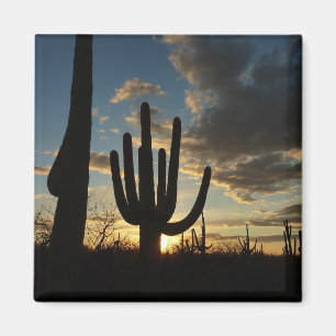 Saguaro Sunset II Arizona Desert Landscape Magnet