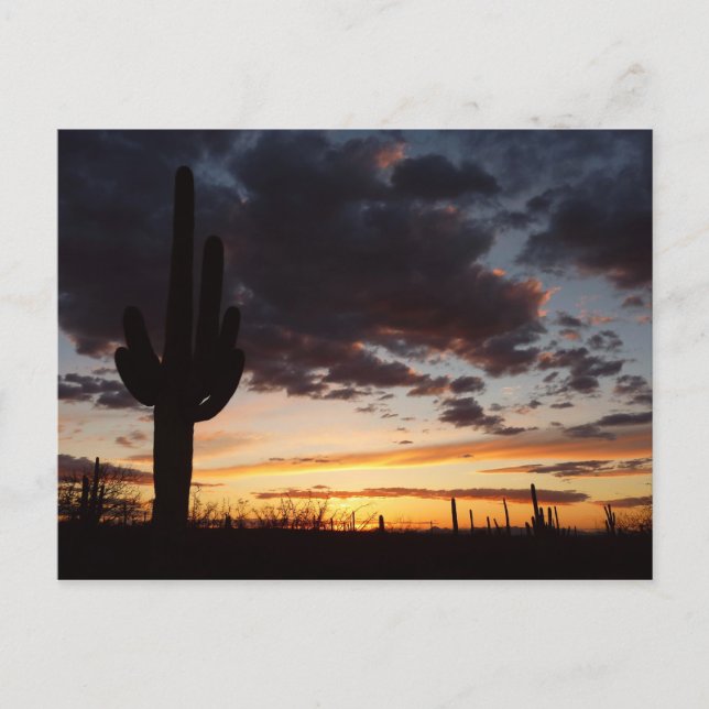 Saguaro Sunset III Arizona Desert Landscape Postcard (Front)