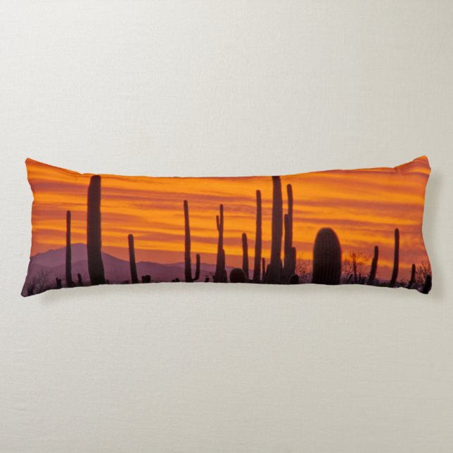 Saguaro, sunset, Saguaro National Park Body Pillow (Front)