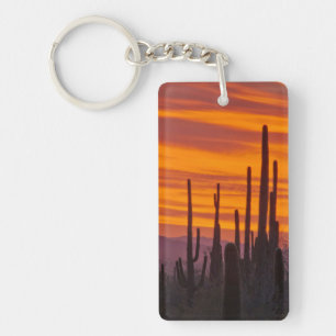 Saguaro, sunset, Saguaro National Park Keychain