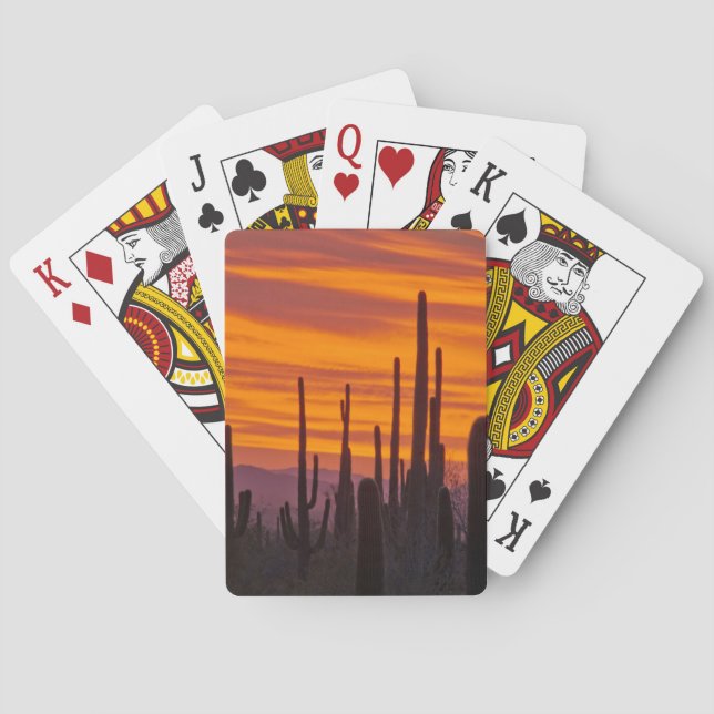 Saguaro, sunset, Saguaro National Park Playing Cards (Back)