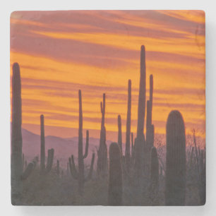 Saguaro, sunset, Saguaro National Park Stone Coaster