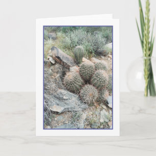 Saguaro Swirl Greeting Card