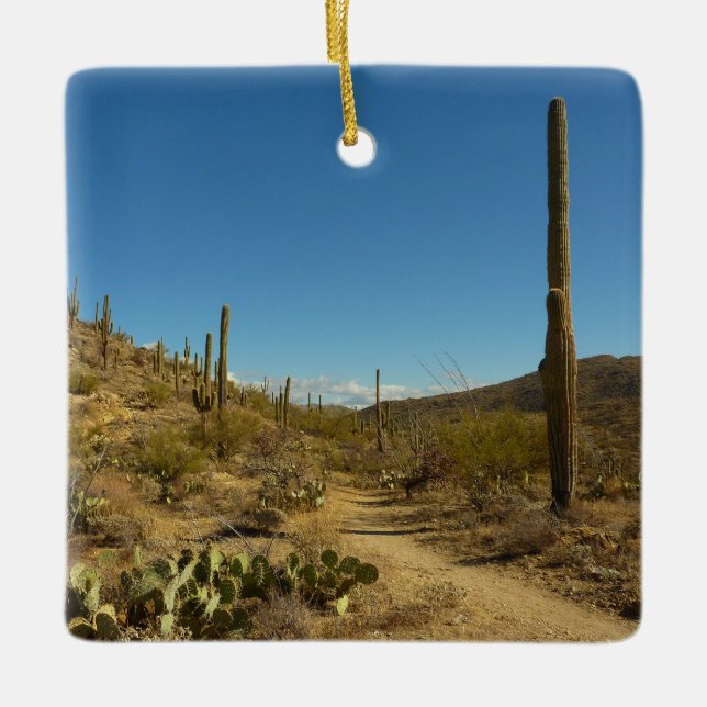 Saguaro's Carillo Trail in Saguaro National Park Ceramic Ornament (Front)