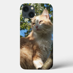 Sahara Cat In A Tree iPad Case