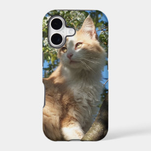 Sahara Cat In A Tree iPhone 5 Case