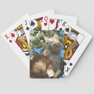 Sahara Cat In A Tree Playing Cards