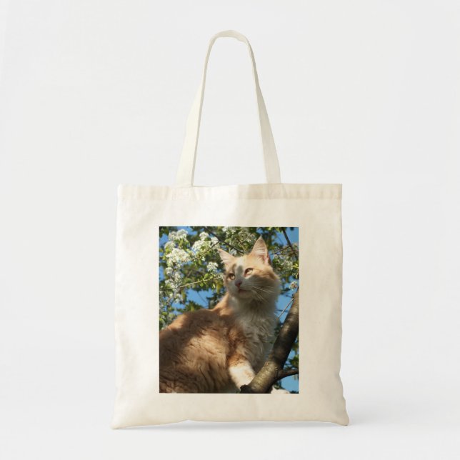 Sahara Chat Dans Un Sac fourre-tout D'Arbre (Devant)