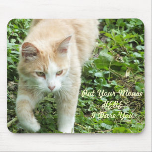 Sahara Jungle Cat Mouse Pad