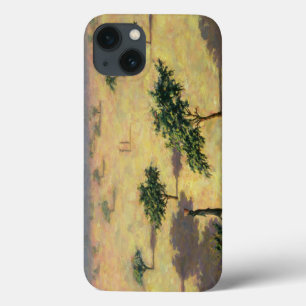 Sahelian Landscape Mali 1991 iPhone 13 Case
