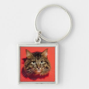 Saiberian cat keychain
