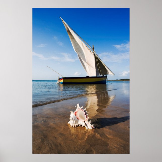 Sail Boat And Shell | Mozambique, Benguerra Lodge Poster (Front)