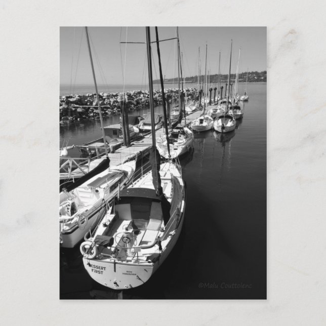 Sail Boats Black and White Postcard (Front)