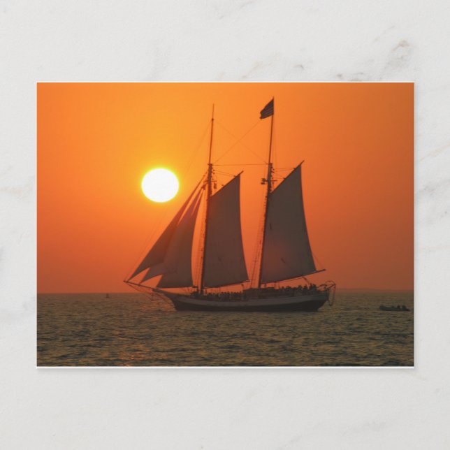 Sail into the Sunset Postcard (Front)