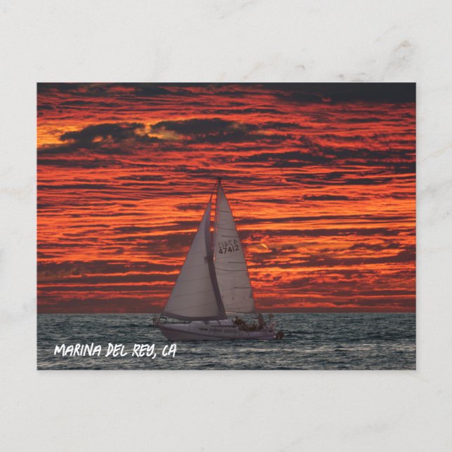 Sailboat at Sunset - Marina Del Rey, CA Postcard (Front)