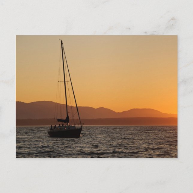 Sailboat At Sunset On The Puget Sound Postcard (Front)
