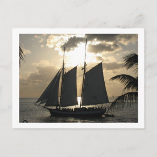 Sailboat in Sunset Postcard
