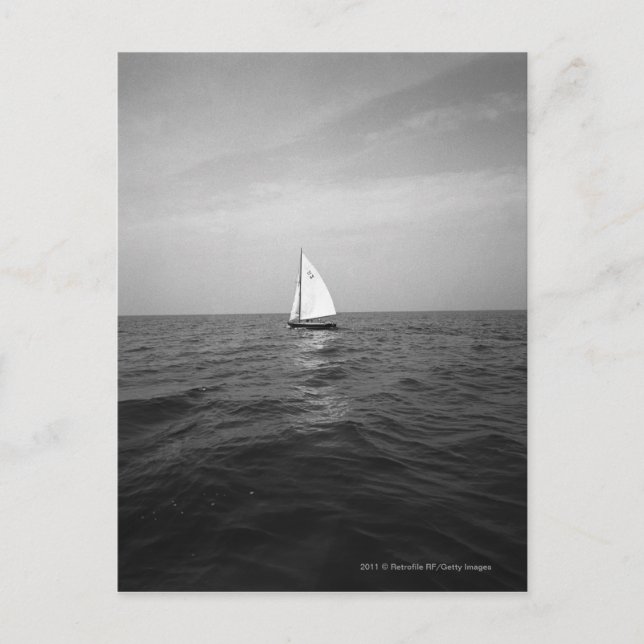 Sailboat on ocean postcard (Front)