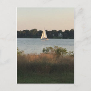 Sailboat on the Water Postcard