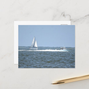 Sailboat Photo Postcard