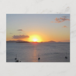 Sailboats at St.John Postcard