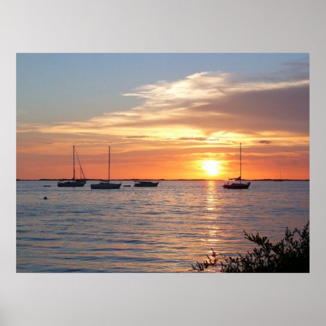 Sailboats at Sunset  - Poster (Front)