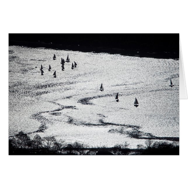 Sailboats in silhouette, Charles River Basin, Card (Front Horizontal)