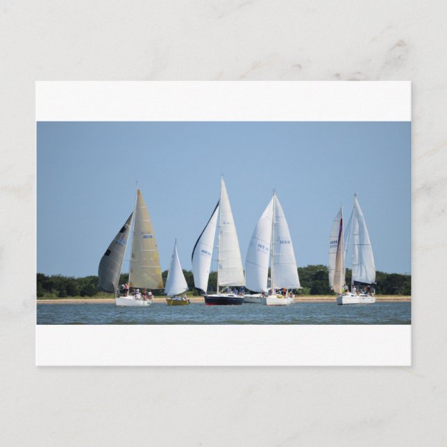 Sailboats on 4th of July Postcard (Front)