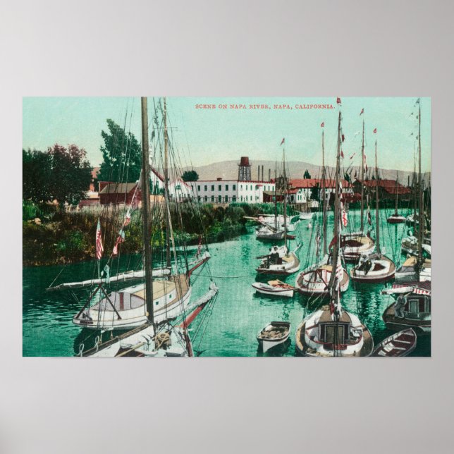 Sailboats on Napa River SceneNapa, CA Poster (Front)